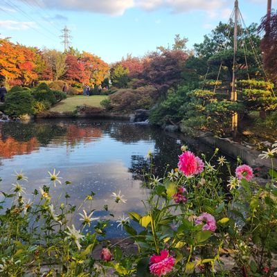 itaotakuaka's profile picture. ひなたっ子
ct-箱推しよりの南なつ🧡
cs-板倉可奈💚
　　　　　　　　　　
next≫11/20すいすてCollection-札幌
1/11　カワラボコレクション-静岡
2/27　きゅーてすとのつどい-札幌