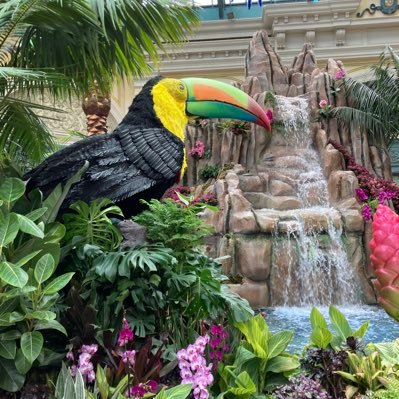 Maui4sunset's profile picture. Animals, Government & Politics,World News,US News 🇺🇸🇺🇸🇺🇸🇺🇸🍸🌺MAGA,Two Genders