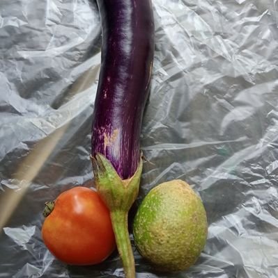 boty yg mau di masukin cabe di kencingin di tetesi lilin lidahnya dn lain2 segera merapat
