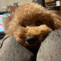 けい (@ifjr0s7oaf97149) Twitter profile photo
