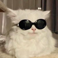 ᘉ26 ʕ̢̣⸝⸝·͡˔·Ɂིྀ̡̣ .ᐟ (@navir_w) 's Twitter Profile Photo ᘉ26 ʕ̢̣⸝⸝·͡˔·Ɂིྀ̡̣ .ᐟ (@navir_w) 's Twitter Profile Photo