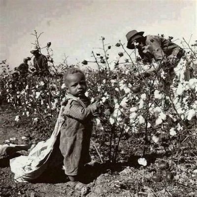 TerryHo41125807's profile picture. 🇺🇸 owes #reparations for 340 yrs of slavery, 90 yrs of legalized anti-Black American Jim Crow hate, and 40 + yrs of Mass Incarceration