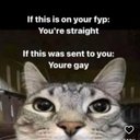 Ralph Delgado - @mvpralph72 - Twitter