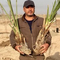 Ahmed Askar (أحمد آل عسكر) (@alibrahimi12) 's Twitter Profile