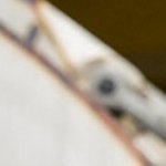 Laurence Pavitt (@pavittlaur29892) 's Twitter Profile
