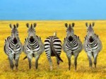 It´s easy to be different!
Abalorios & bisutería, Schmuck Perlen & handgemachte Unikate, Kralen & Sieraden, Perles & bijoux, Beads & Jewellery, Pandora Style!