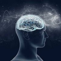 TheRush (@manifestmftn) 's Twitter Profile