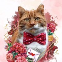 the ginger tom (@tommytheginger1) 's Twitter Profile Photo the ginger tom (@tommytheginger1) 's Twitter Profile Photo