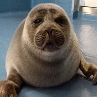 DeadManWalkn196's profile picture. 21