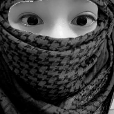 PAI91414265's profile picture. 