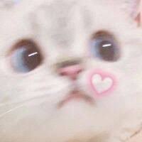 らむ (@light002048moon) 's Twitter Profile