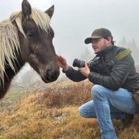 Steven J. Rhue (@rhue_steven) 's Twitter Profile