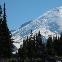 Gril Nft (@nftgril59223) 's Twitter Profile