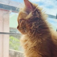 DivineM (@divineemmm) 's Twitter Profile