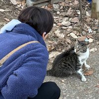 π« (@bobagyv) 's Twitter Profile