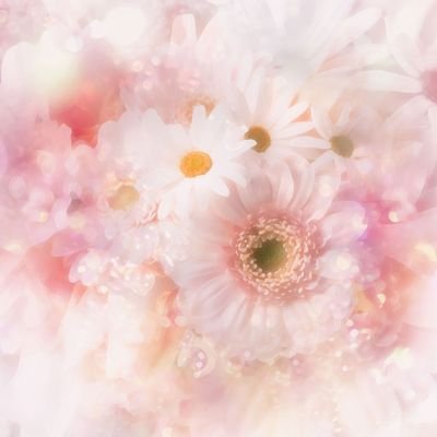 o0oc5s2c5s2o0o's profile picture. 🫧大好きな声と大好きな音が溢れる世界🫧