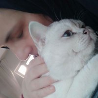 SessizSakin (@snobaf) 's Twitter Profile