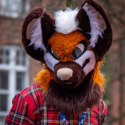 Vis π ??? Profile