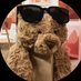 超过频率限制 (@noapproachme) Twitter profile photo 超过频率限制 (@noapproachme) Twitter profile photo