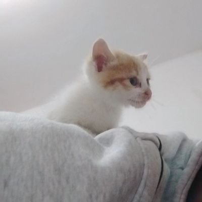 yuwuxie57's profile picture. 