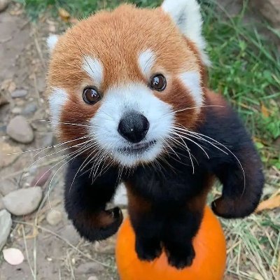 ditrip_'s profile picture. Bio