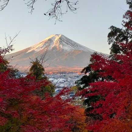 ⛩️神社巡り、風景やお花🌸の📸撮影、音楽💽(TWICE.FIowerなど)
が好きです。
🏍バイク(ハヤブサ)に乗っています!🙋
✈️飛行機(戦闘機)なども好きです😉