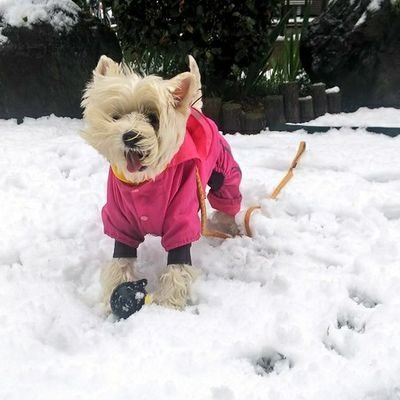 むーさんのプロフィール画像