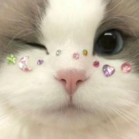 u (@88_8_8_88_8) 's Twitter Profile Photo u (@88_8_8_88_8) 's Twitter Profile Photo