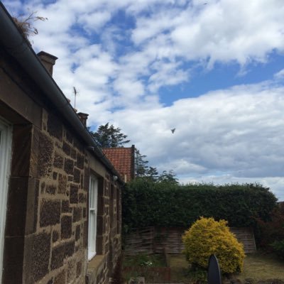 HoweyJohnn34169's profile picture. Amor Fati.