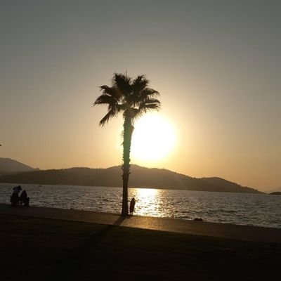 CanBekman's profile picture. 💙💛💙💛
 🇹🇷🇹🇷🇹🇷🇦🇱🇦🇱🇦🇱🇵🇸🇵🇸🇵🇸🇰🇿🇰🇿🇸🇪🇺🇦🇺🇦🇺🇦🇬🇷🇬🇷🇬🇷🇪🇺🇪🇺🇪🇺🇨🇳🇧🇻🇧🇩🇵🇰🇵🇰🇮🇳🇮🇳🇰🇷🇰🇷🇰🇷🐬🇯🇵🇯🇵🇯🇵 Liberal✌🏻