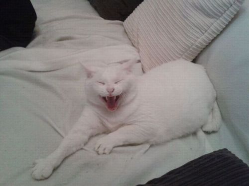 mgmlazaro's profile picture. 