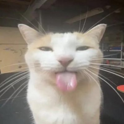 mzohairs's profile picture. :)