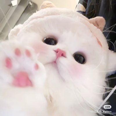 ➖ 🅑❶ 𝗽𝗹𝗶𝗴𝗵𝘁𝗻𝗶𝗻𝗴さんのプロフィール画像