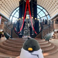 さしろ (@brightenupdc) Twitter profile photo