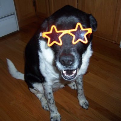 GothamHab's profile picture. 