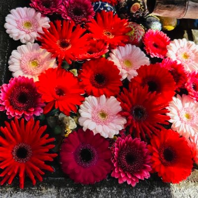 song2terote's profile picture. SMAP大好き 細く長くですがずっと大好きです。