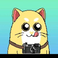 SimoneP (@simonep225703) 's Twitter Profile