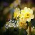 محمد علوش (@mhmdlwsh37763) Twitter profile photo محمد علوش (@mhmdlwsh37763) Twitter profile photo