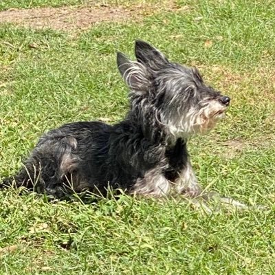 Poppie927's profile picture. Pro-Life Catholic, husband, father and grandfather. MAGA