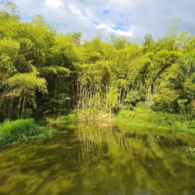 Roger1Z's profile picture. Consultor Ambiental