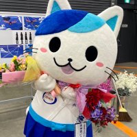 かくにみゃん (@bushi__kakuni) 's Twitter Profile
