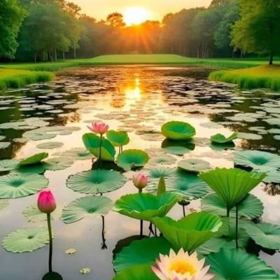 Vijaya1239433's profile picture. 