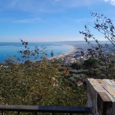 de_carvalh43911's profile picture. 