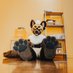 Zero Voodoo๐LVFC FWA (@voodooo1o1) Twitter profile photo Zero Voodoo๐LVFC FWA (@voodooo1o1) Twitter profile photo