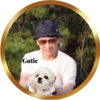 グティ⁂ (@gutiedesu) 's Twitter Profile Photo グティ⁂ (@gutiedesu) 's Twitter Profile Photo