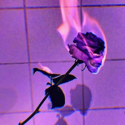 TEXZさんのプロフィール画像