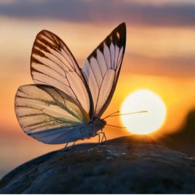 AutSparkle's profile picture. I’m unique and that’s beautiful. You are also unique and beautiful. Be kind to others.