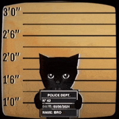 jailcatpf's profile picture. 