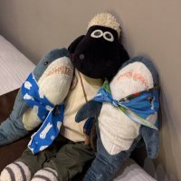ひつじのshaunとIKEAのサメ シャー (@shaunlove_chamu) Twitter profile photo