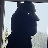 PF (@bitcoin101_io) 's Twitter Profile